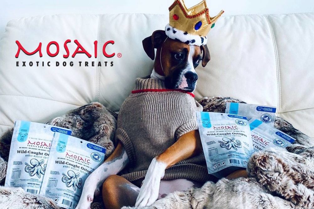 Mosaic expands distribution through Pet Food Experts