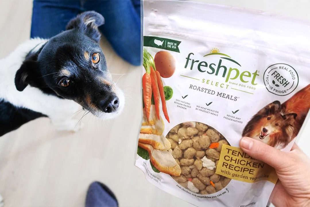 Freshpet reports second quarter 2021 financial earnings and capital expenditure updates