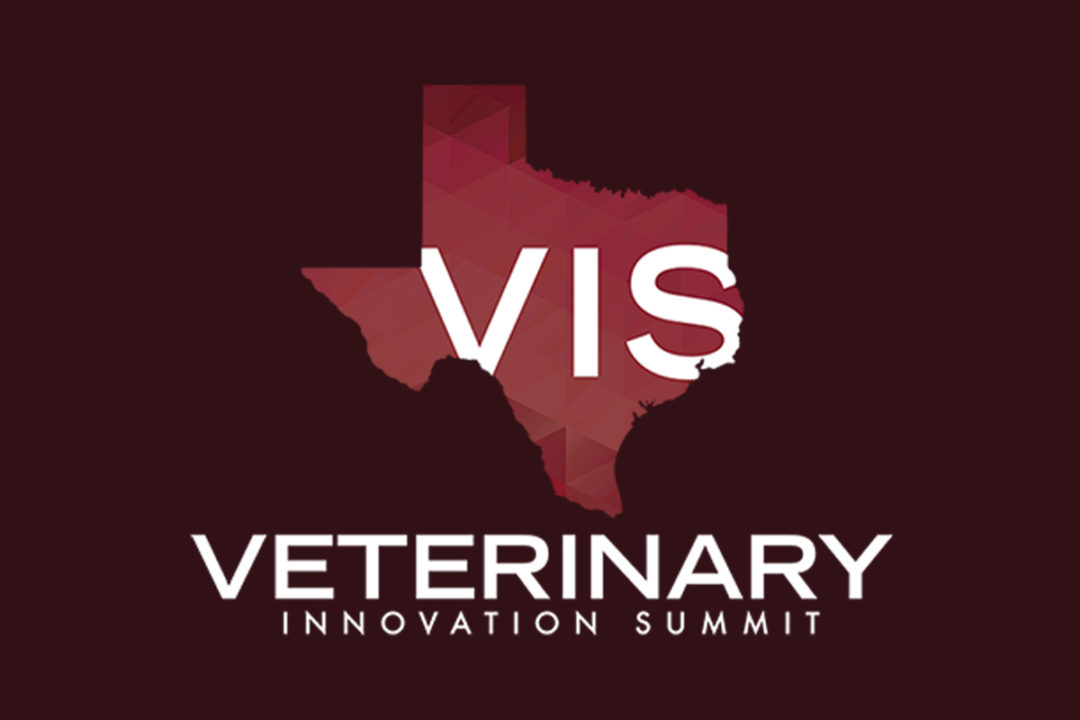 TAMU awards TEEF! by Primal Health first place in Veterinary Innovation Summit Pitch Competition