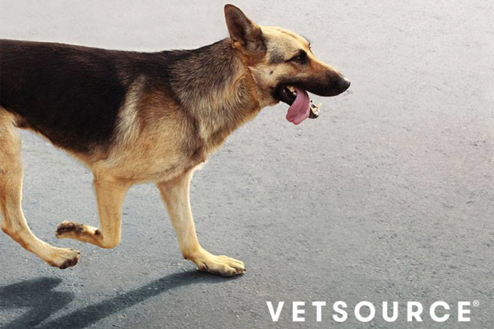 Vetsource online pet pharmacy expanding product offerings