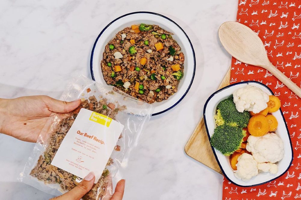 Butternut Box receives $55 million in private equity funding to scale fresh DTC dog food business