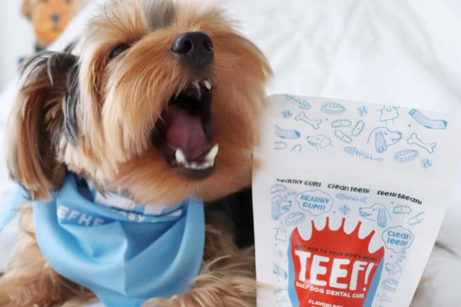 TEEF! adds products to six international markets
