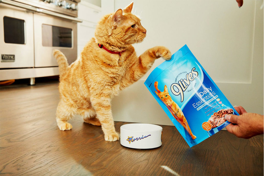 9Lives, Meow Mix and other cat brands drive growth for Smucker's Q1 2021