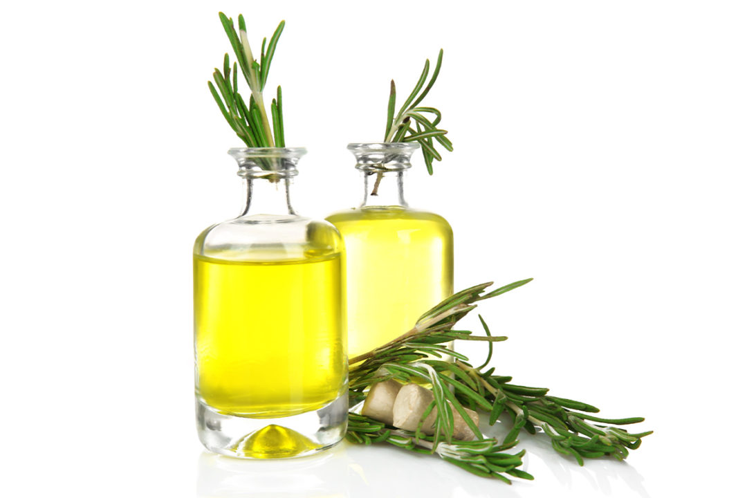 Layn Natural Ingredients adds natural rosemary extract, several others to Non-GMO Verified portfolio