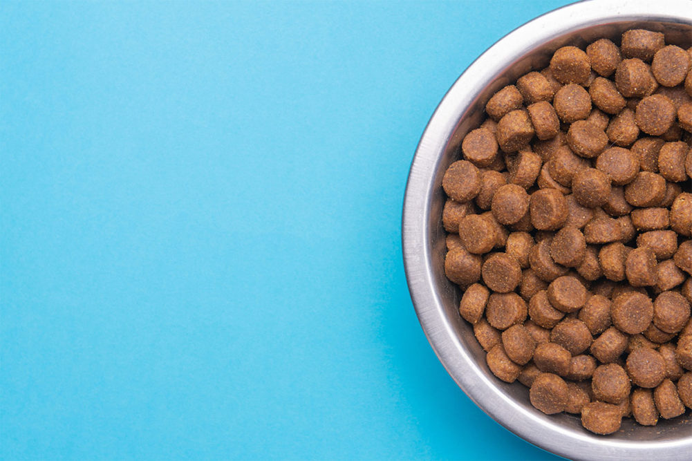 Click through this slideshow for a glimpse of new complete-and-balanced pet food products launched so far this year.