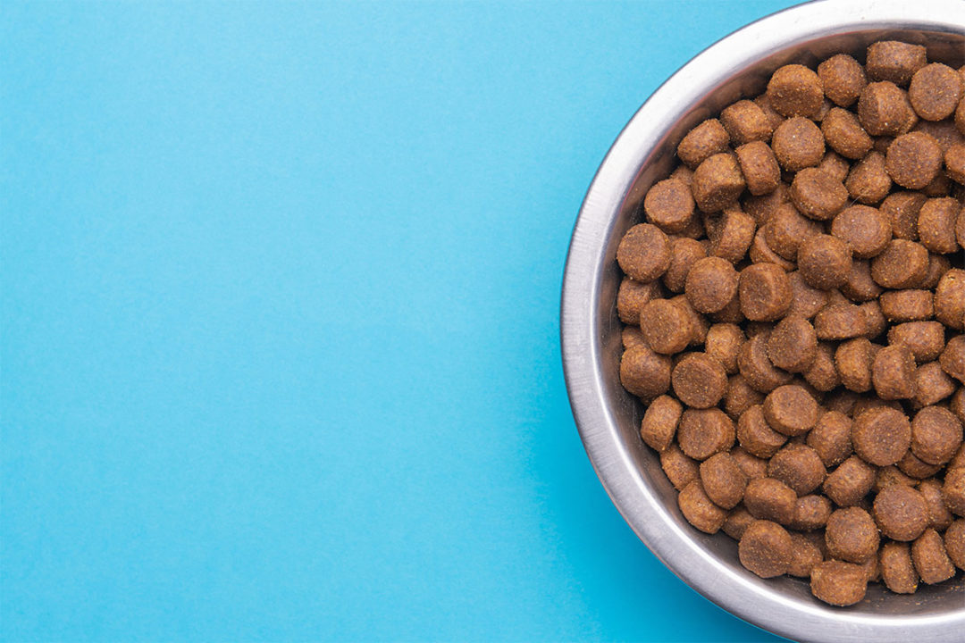 Click through this slideshow for a glimpse of new complete-and-balanced pet food products launched so far this year.