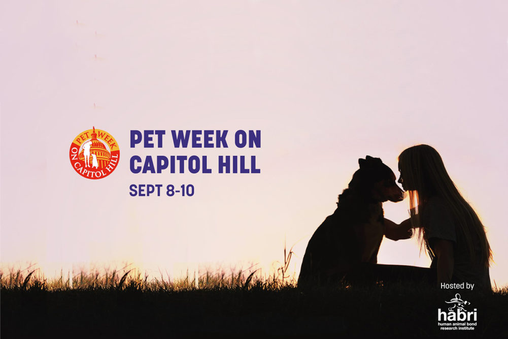 Recapping Pet Week on Capitol Hill 2020, a virtual convention