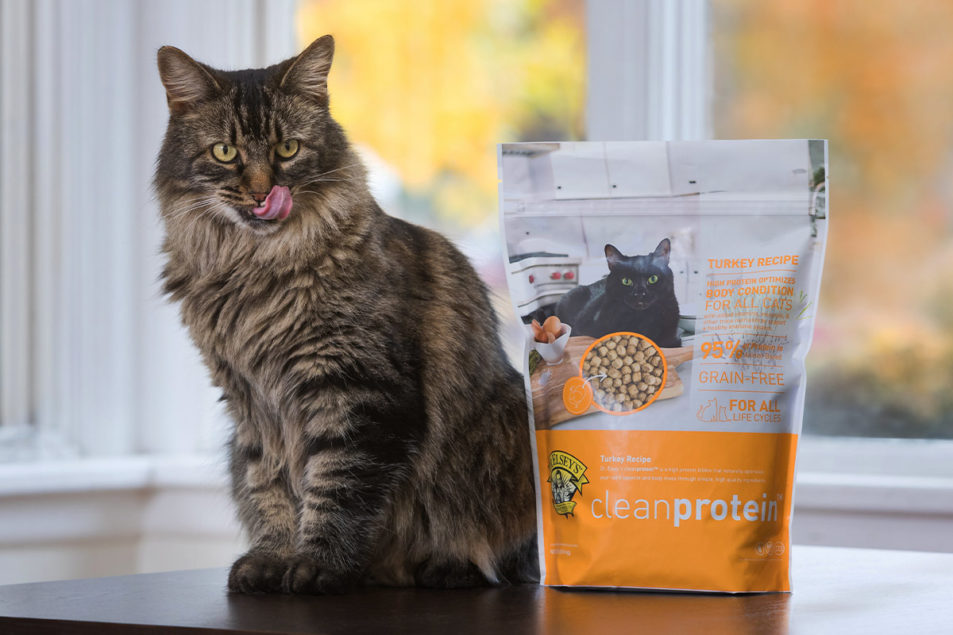 Dr. Elsey’s introduces high-protein cat foods