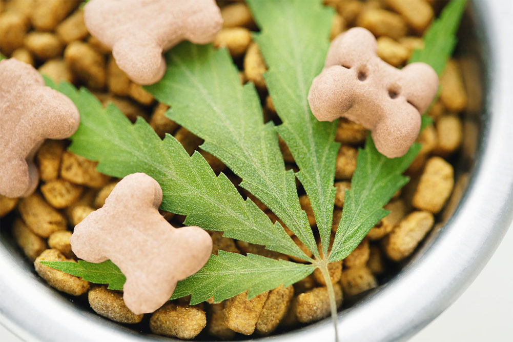 AAFCO urges industry stakeholders to pursue hemp ingredient research for animal food