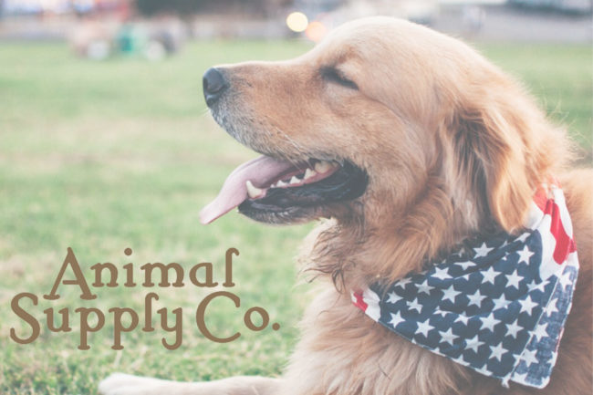 Animal Supply Company appoints new CEO