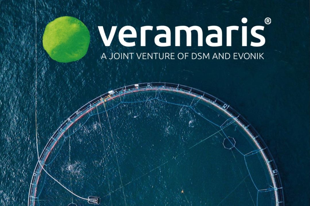 Jeff Alix joins Veramaris as head of global business development