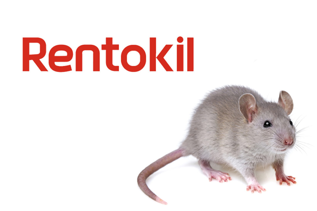 Rentokil to host PestConnect webinar on rodent management solutions