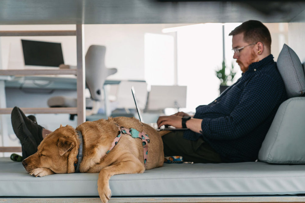 IV. Tips for Balancing Work and Dog Ownership