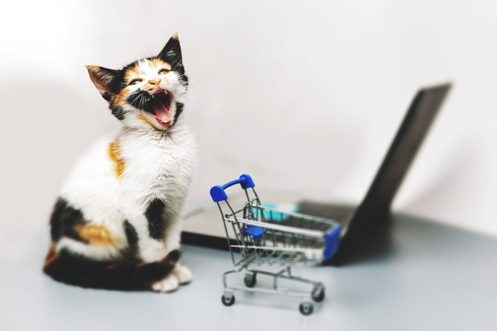 NielsenIQ shares top 5 pet food-related keyword searches since April 2020