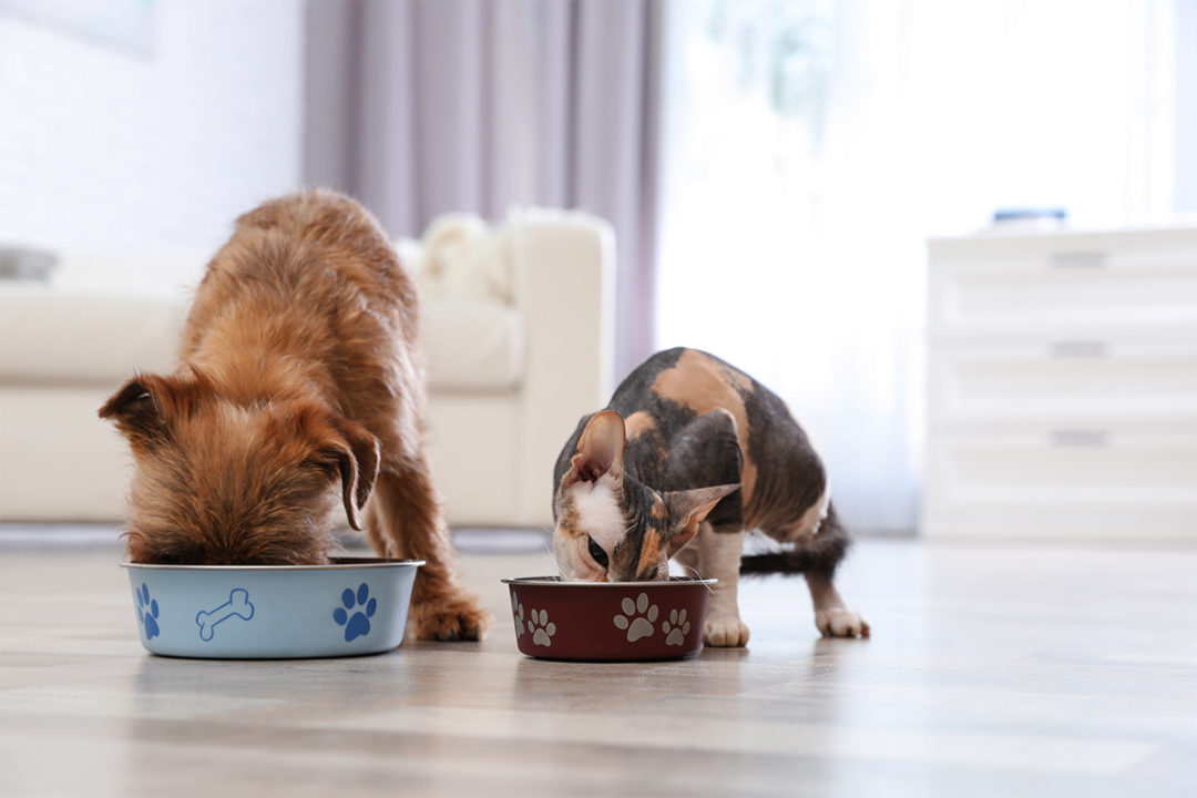 United States accounts for 47% of global pet food sales