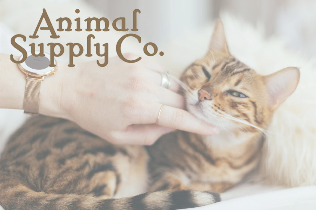 Leadership changes for Animal Supply Co.