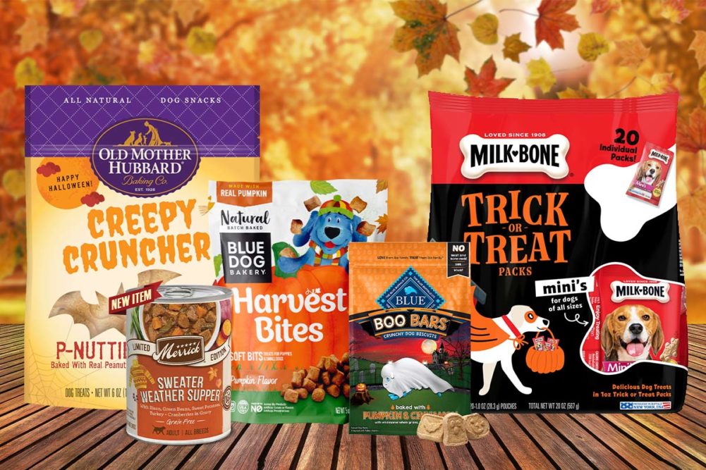 Fall and Halloween-themed pet food and treat products 2020