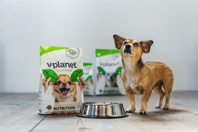 V-planet launches plant-based biscuits, dental chews and expands distribution in Canada