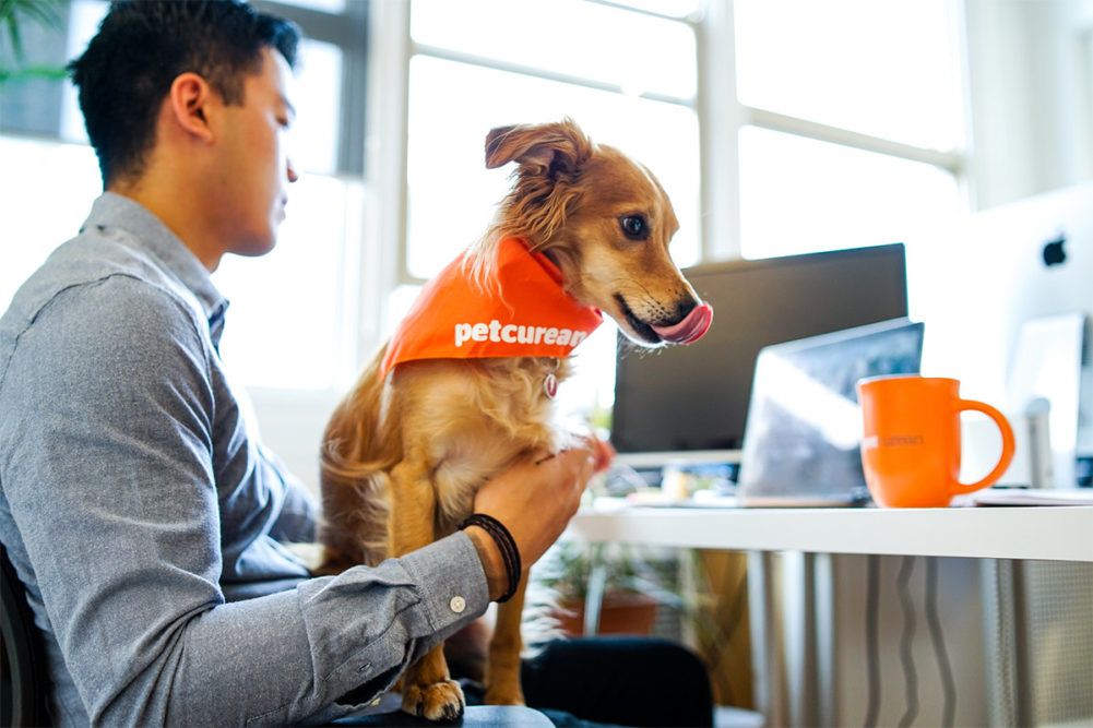 Petcurean launches French-language website for two premium pet food brands