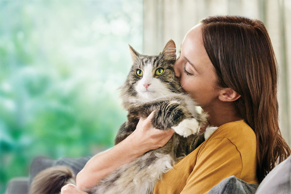 Cat food has historically been second class to the dominant dog food market, but some brands are stepping up to offer more and better nutritional products for cats.