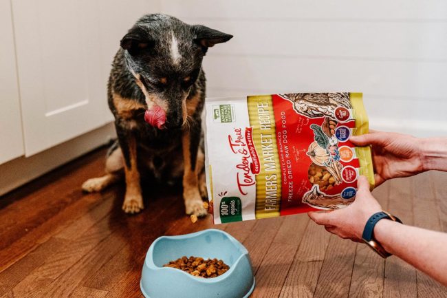 Tender & True launches freeze-dried dog food