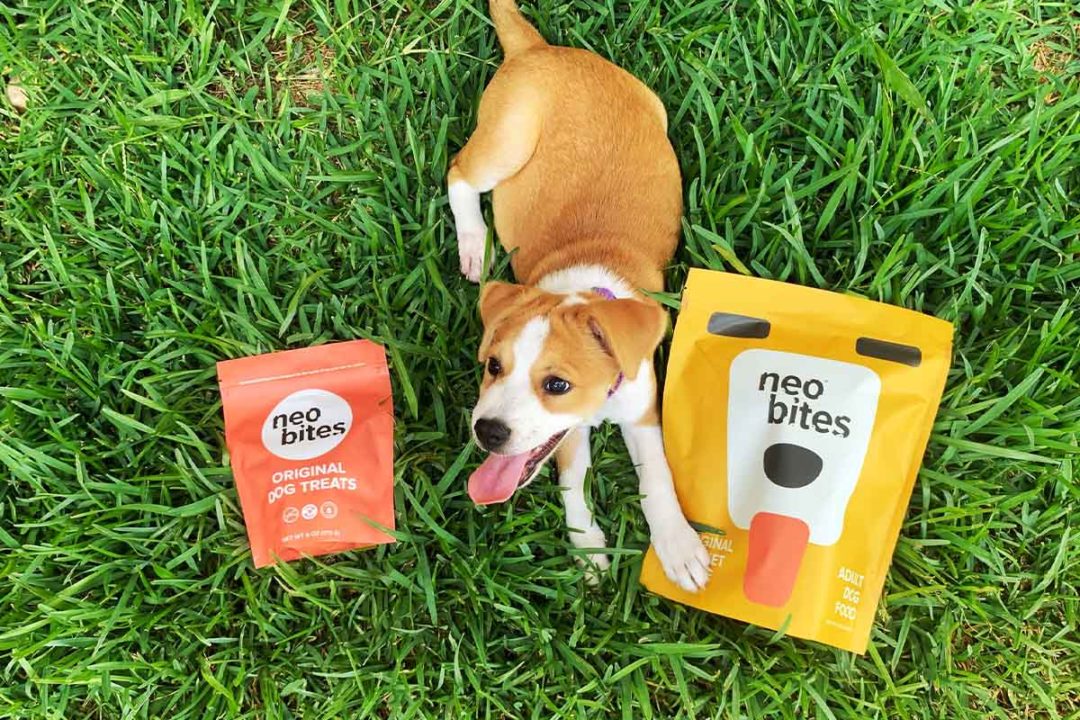 Neo Bites introduces insect protein meal toppers for dogs