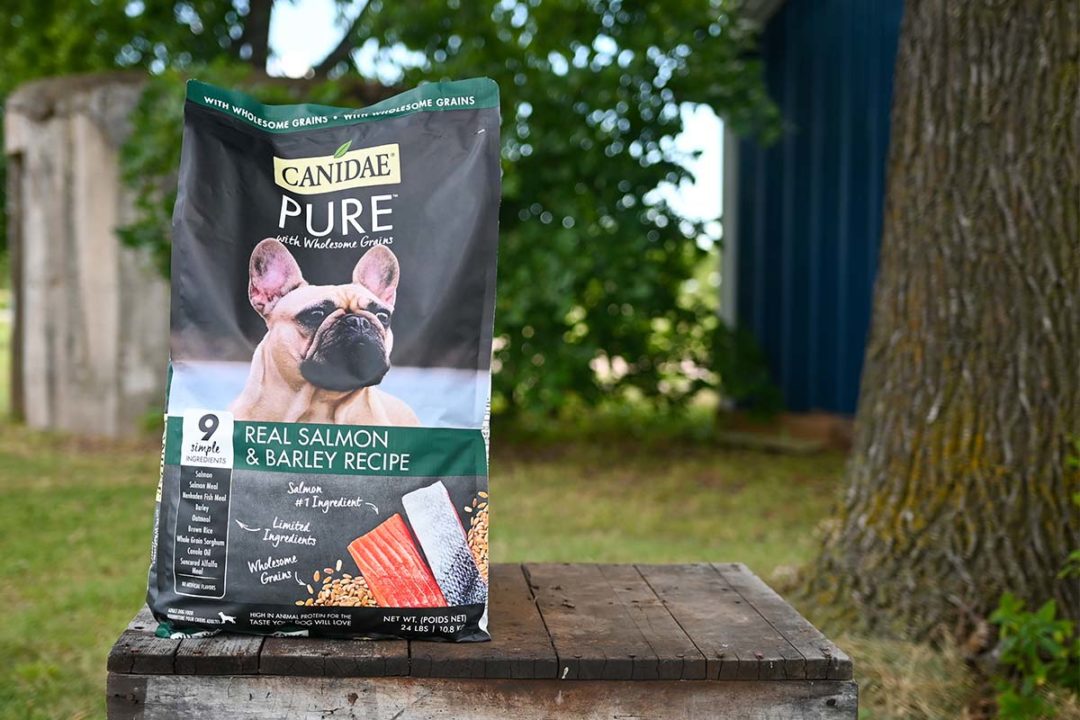 Canidae partners with hockey dogs as official pet food partner