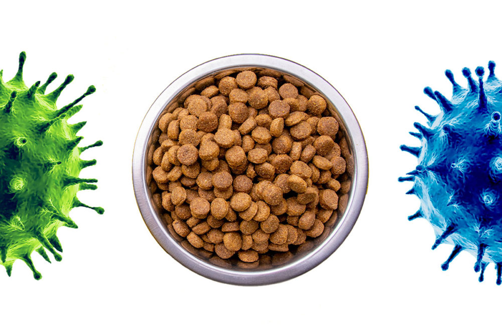 Pet food processors update Pet Food Processing on COVID-19 business impacts