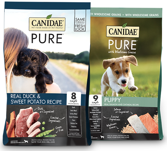Canidae PURE