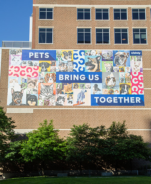 Pet portrait mural in Boston, commissioned by Chewy