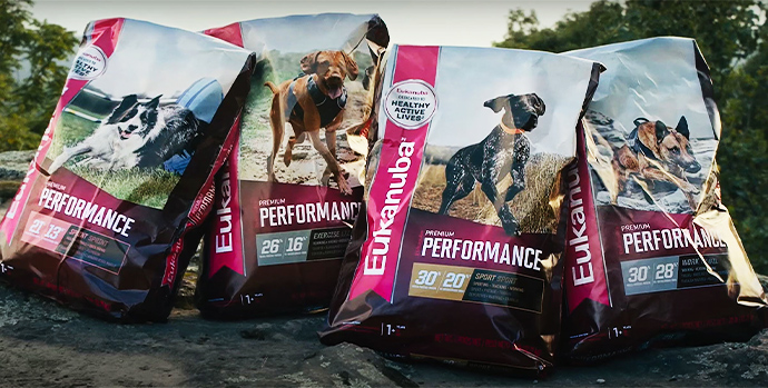 Eukanuba reimagines performance dog diets with new line | 2020-09-29 | Pet  Food Processing