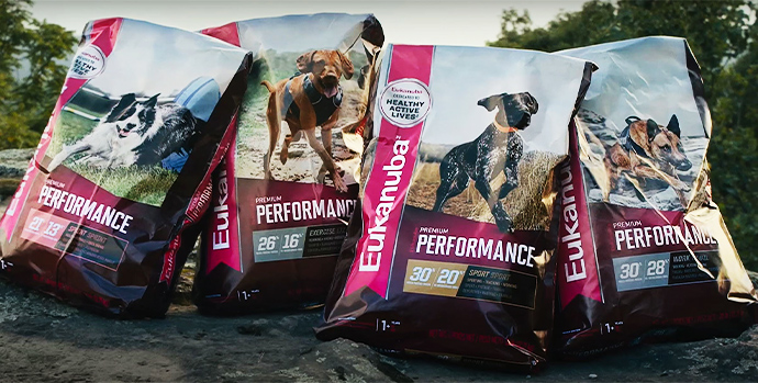 eukanuba performance dog food