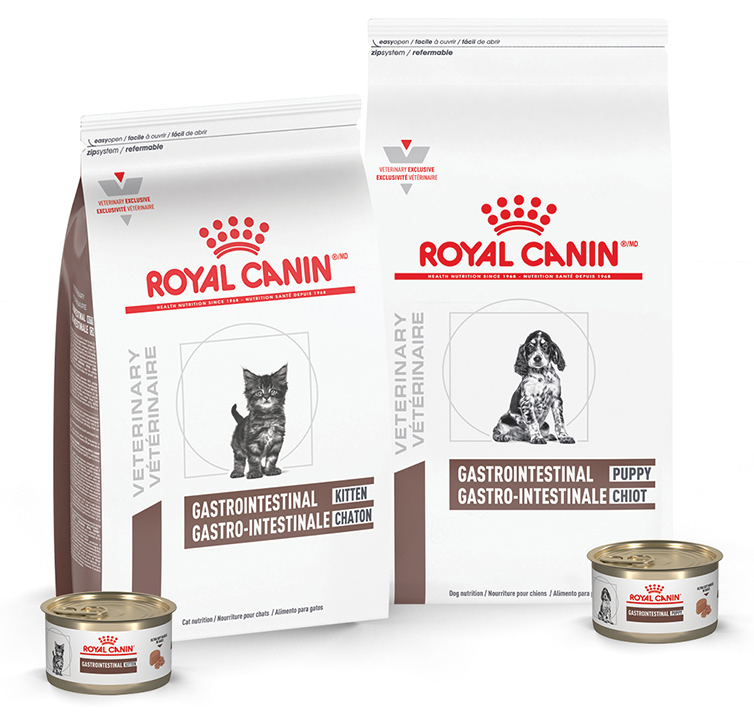 Not small dogs innovations giving cat nutrition a leg up 2020