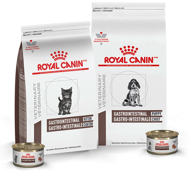 Royal Canin Gastrointestinal