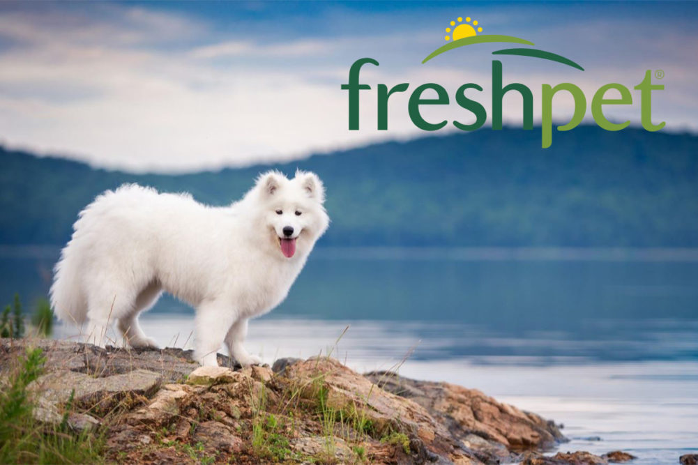 Freshpet continues growth as it preps new guidance plan through 2025
