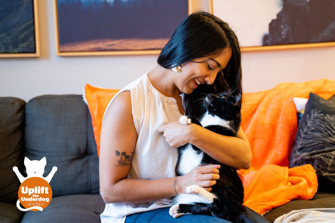Petcurean launches adoption campaign for "hard-to-adopt" shelter cats