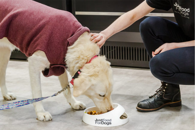 $1 million given to JustFoodForDogs to fund and conduct nutrition research