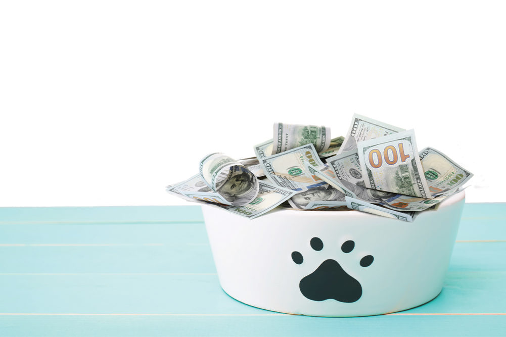 APPA releases US pet spending data from its 2019-2020 National Pet Owners Survey