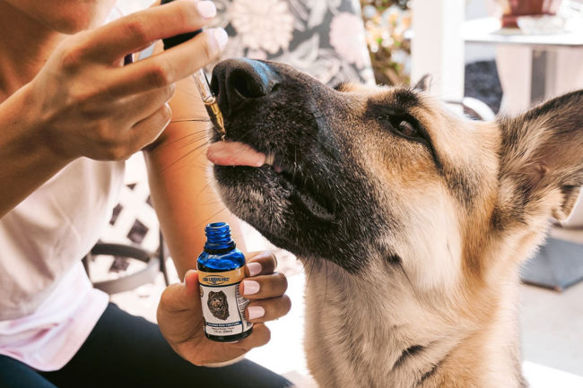 CBD Living has launched a range of pet products