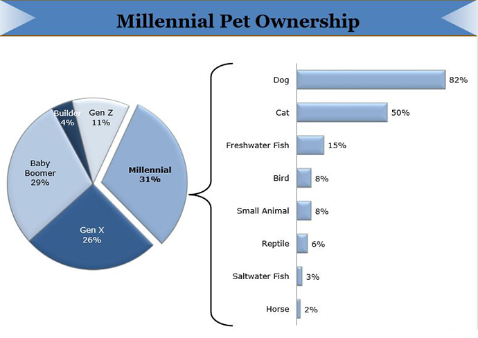 APPA's breakdown of Millennial pet ownership