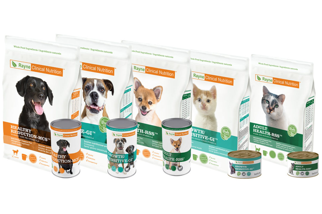 Veterinary pet food company launches program to support vets, clinics