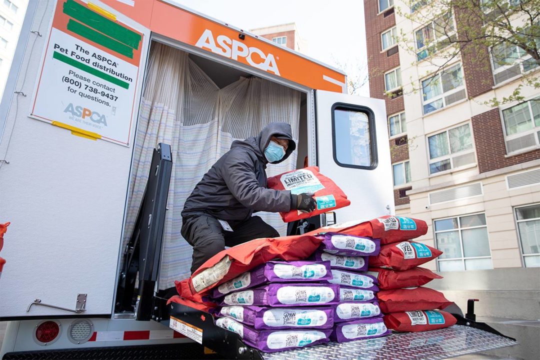 ASPCA to help more 200,000 pets throughout the COVID-19 crisis in the United States