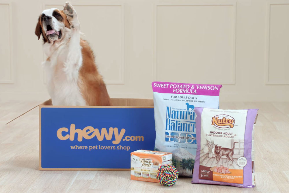 Dog inside Chewy box next to pet food products