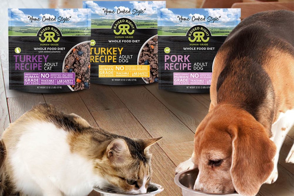 Cat and dog eating new Raised Right human-grade pet foods: Turkey Recipe for cats, Turkey Recipe for dogs and Pork Recipe for dogs