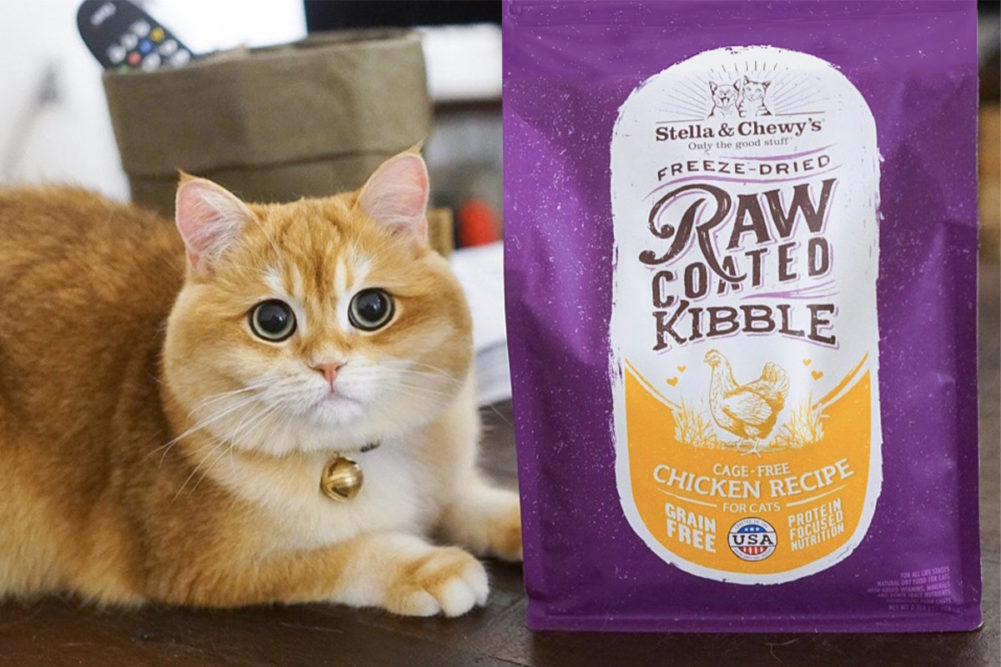 Stella & Chewy's raw-coated cat kibble