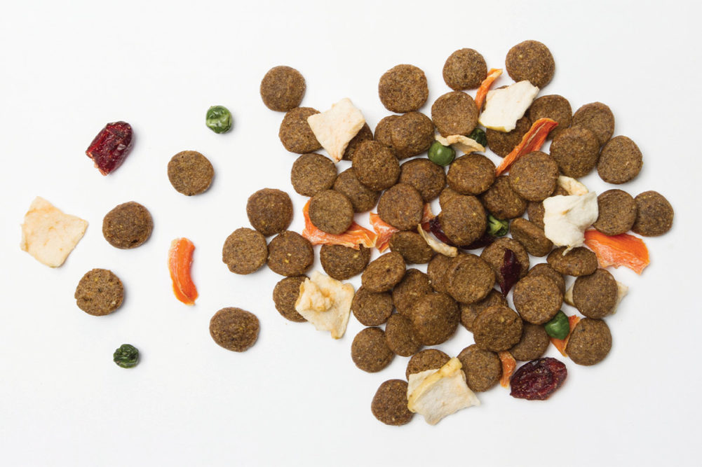 Retailer pet foods that have transformed from value brands to top-shelf competitors