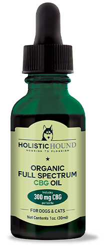 Holistic Hound CBG oil for pets