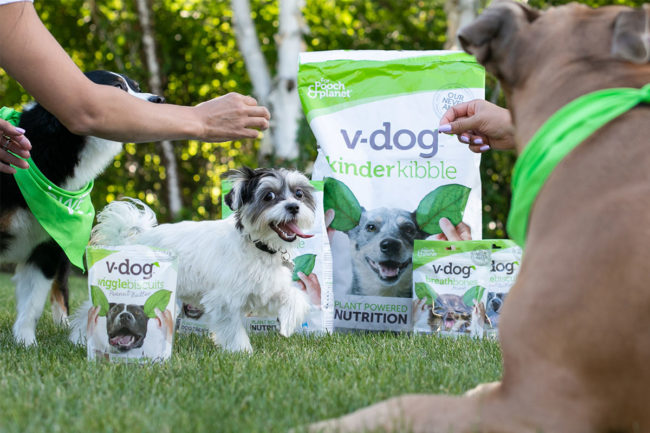V-Dog teams up with plant-based restaurant to bring dogs and dog owners together at the dinner table