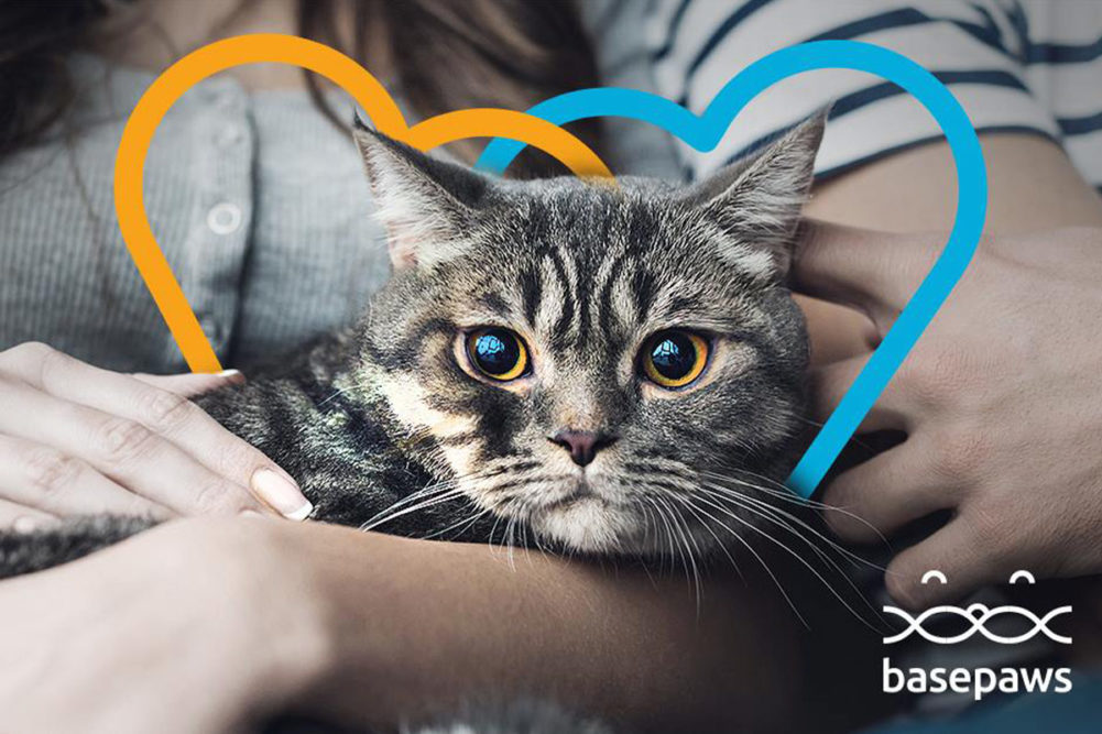 Purina hosts first ever Pet Care Innovation Summit with 25 startups