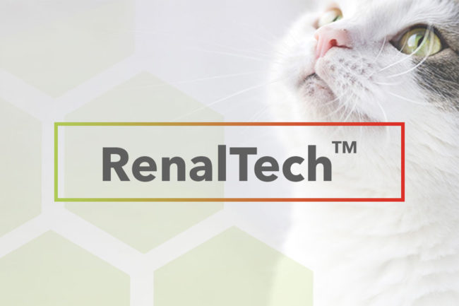 Mars Petcare division develops AI-based predictive diagnostic tool for chronic kidney disease in cats